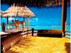 Coco Palm Bodu Hithi 